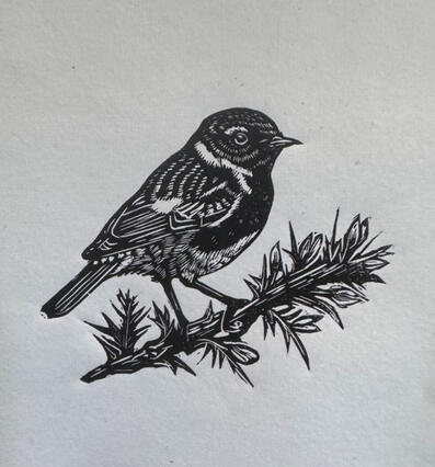 Stonechat