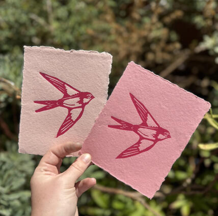 Swallows