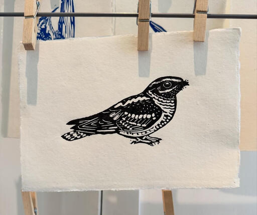 Nightjar